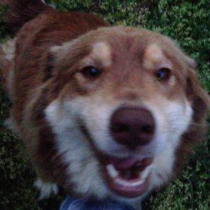 Meet your Posher, Alex